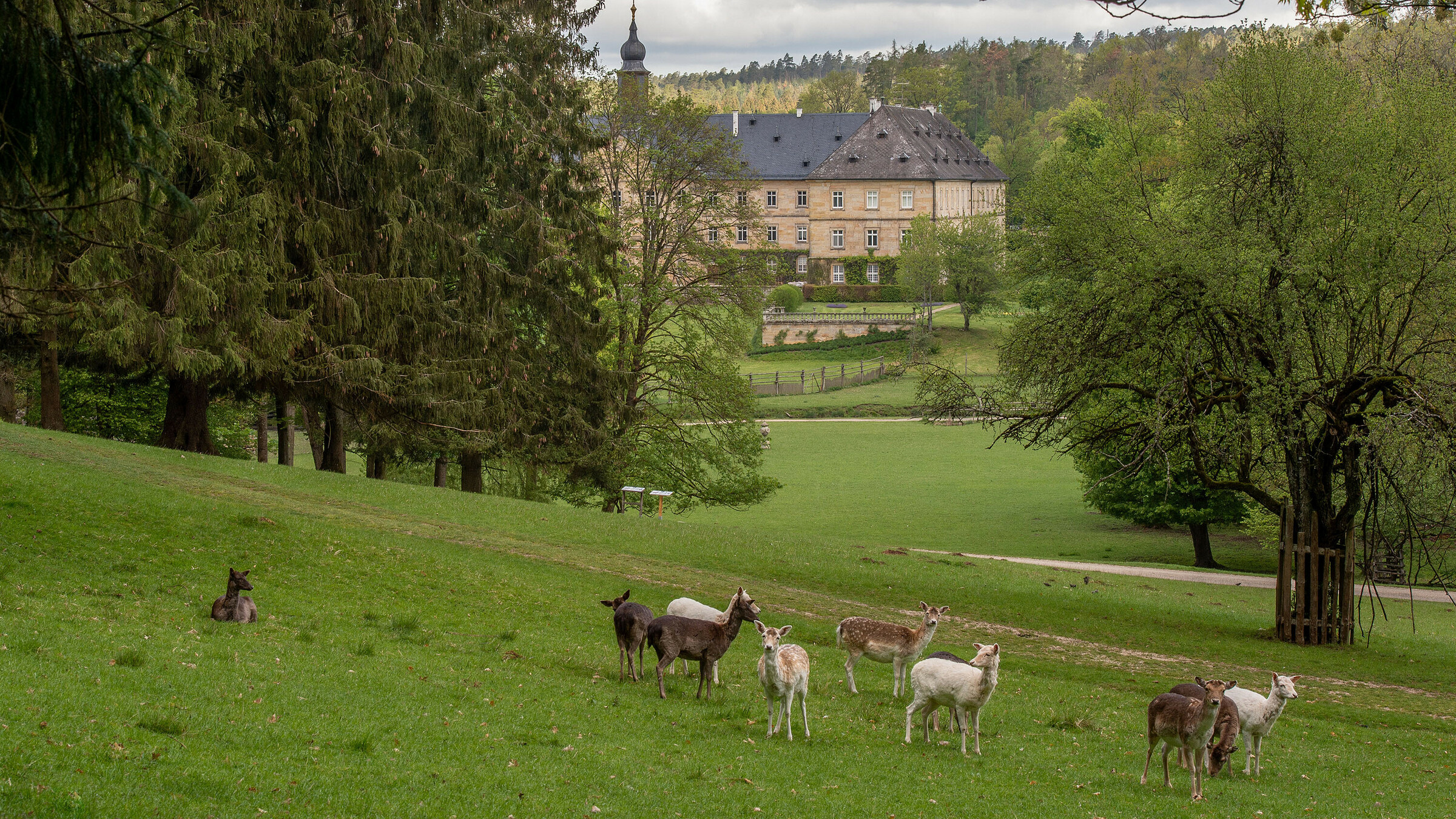 Einzigartige Kombination aus Schlosspark und Tierpark WildPark